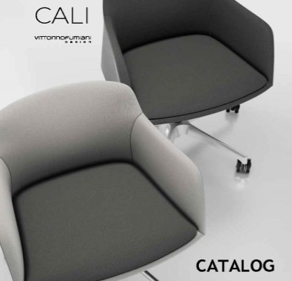 CALI visitor meeting chair