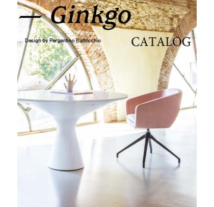 GINKGO Meeting chair